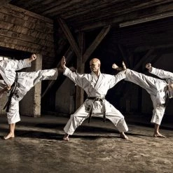 Hayashi WKF Karate-Gi TENNO II - Premium, 0491-1