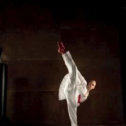 Hayashi WKF Karate-Gi CHAMPION FLEXZ, 043-1 Uniforms & Gi