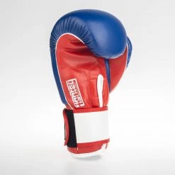 Fighter Boxing Gloves SPEED - Tricolor